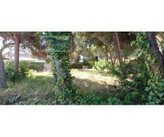 SE VENDE PARCELA EN NUEVO PORTIL, HUELVA