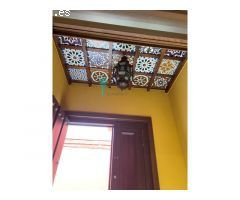 CASA NUEVA EN EL CENTRO