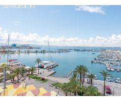 3951 SOBREATICO EN EL PASEO MARÍTIMO DEL PUERTO DE ALCUDIA CON VISTAS A TODA LA