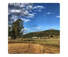 FINCA RÚSTICA DE 26.000 M² A 28 KM. DE BADAJOZ