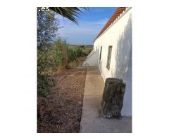 CHALET EN SAN BENITO DE LA CONTIENDA, A 8 KM. DE OLIVENZA