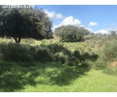 FINCA DE 11 HECTÁREAS EN SAN VCIENTE DE ALCÁNTARA