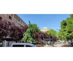 LOCAL COMERCIAL EN PARDALERAS