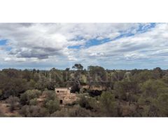 Finca de piedra con carácter. Paz y tranquilidad en Llucmajor