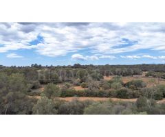 Finca de piedra con carácter. Paz y tranquilidad en Llucmajor