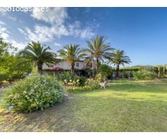 Finca para reformar con vistas, piscina y un molino antiguo