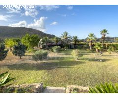Finca para reformar con vistas, piscina y un molino antiguo