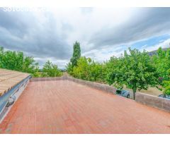 Finca para reformar con vistas, piscina y un molino antiguo