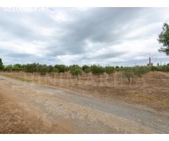Finca para reformar con vistas, piscina y un molino antiguo
