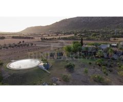 Finca para reformar con vistas, piscina y un molino antiguo