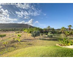 Finca para reformar con vistas, piscina y un molino antiguo