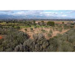 Finca rústica edificable con espectaculares vistas y total privacidad