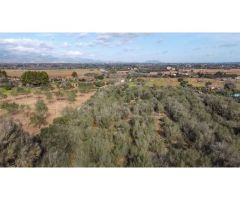 Finca rústica edificable con espectaculares vistas y total privacidad