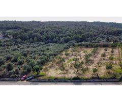 Finca rústica edificable con espectaculares vistas y total privacidad