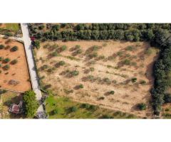 Finca rústica edificable con espectaculares vistas y total privacidad