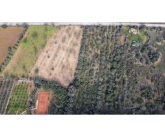 Finca rústica edificable con espectaculares vistas y total privacidad
