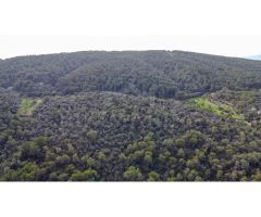 Finca rústica edificable con espectaculares vistas y total privacidad