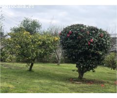 Se vende casa en Ferrol