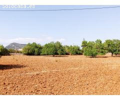 Magnífico terreno para obra nueva
