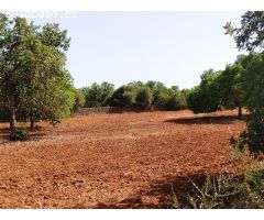 Magnífico terreno para obra nueva