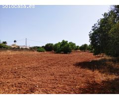 Magnífico terreno para obra nueva