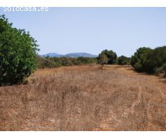 Hermoso terreno en una zona tranquila