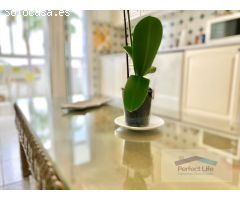 Bonito Apartamento en alquiler con Balcon y vistas al Mar en Playa del Ingles