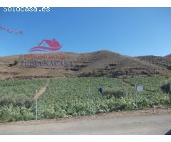 Finca de 6 Ha. con casa de campo con luz y agua