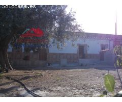 Finca de 6 Ha. con casa de campo con luz y agua