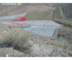 Finca de 6 Ha. con casa de campo con luz y agua