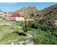 Finca rústica de 6,6 ha. situada a menos de 200 m. del núcleo urbano de Mazarrón