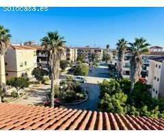 APARTAMENTO 1 DORMITORIO EN EL CHAPARRAL