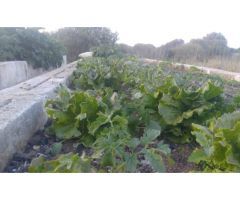 Agroturismo en venta en Maó, Menorca