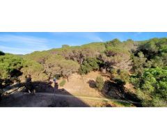 PISO EN LLORET DE MAR - ZONA EL MOLINO/RIERAL - 3 DORMITORIOS - SUPER OFERTA POR