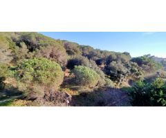 PISO EN LLORET DE MAR - ZONA EL MOLINO/RIERAL - 3 DORMITORIOS - SUPER OFERTA POR