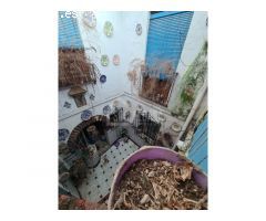 CASA PARA DEMOLER Y RECONSTRUIR A MINUTOS DEL PALACIO DE VIANA Y PLAZA DE LA
