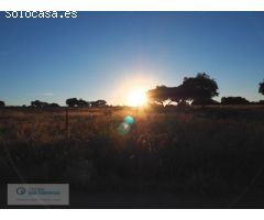 Finca Ganadera