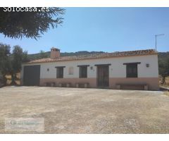 Finca rústica