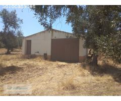 Finca rústica