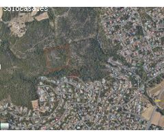 Bosques alcornocales