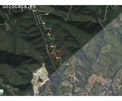 Bosques alcornocales