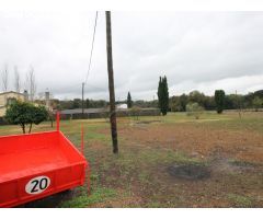 Disfrute de la vida en el campo