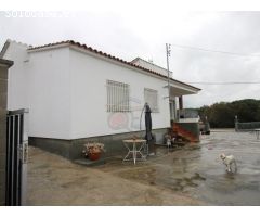 Disfrute de la vida en el campo