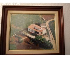 Disfrute de la vida en el campo