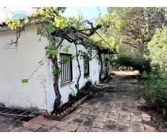CHALET EN LA LLACUNA