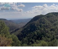 CHALET EN LA LLACUNA