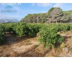 TERRENO CON CASITA DE APEROS