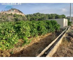 TERRENO CON CASITA DE APEROS
