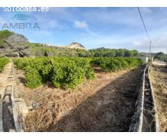 TERRENO CON CASITA DE APEROS