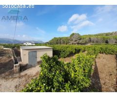 TERRENO CON CASITA DE APEROS